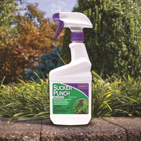 Bonide Sucker Punch Tree Roots Killer RTU Liquid 16 oz Online Hot Sale