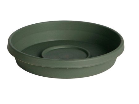 Bloem Terratray 1.2 in. H X 5.5 in. D Resin Traditional Tray Thyme Green For Sale