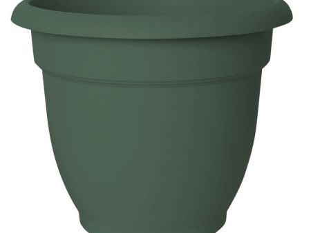 Bloem Ariana 8.5 in. H X 10 in. D Resin Planter Living Green Supply