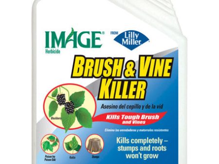 Lilly Miller Image Brush and Vine Killer Concentrate 1 qt on Sale