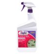 Bonide Eight Yard & Garden Insect Killer Liquid 32 oz Online Hot Sale