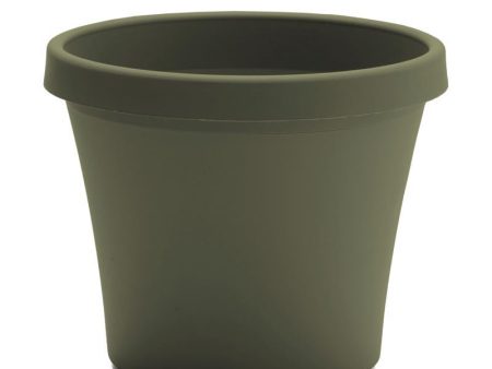 Bloem Terrapot 17.2 in. H Resin Traditional Planter Thyme Green Cheap