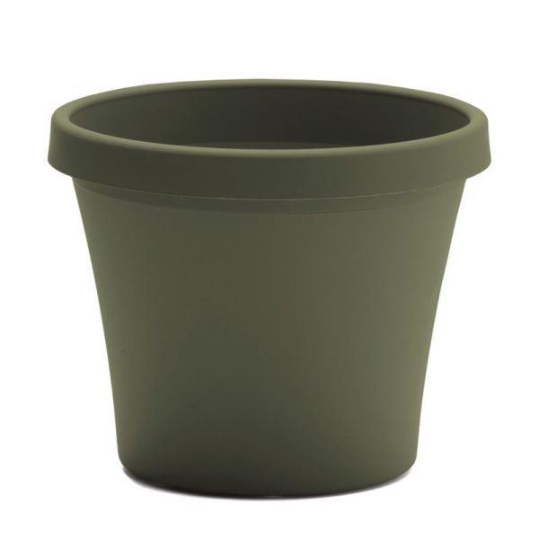 Bloem Terrapot 17.2 in. H Resin Traditional Planter Thyme Green Cheap