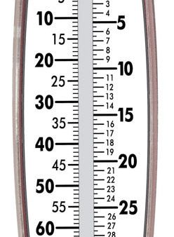 Taylor White Analog Hanging Scale 70 lb on Sale