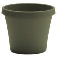 Bloem Terrapot 17.2 in. H Resin Traditional Planter Thyme Green Cheap