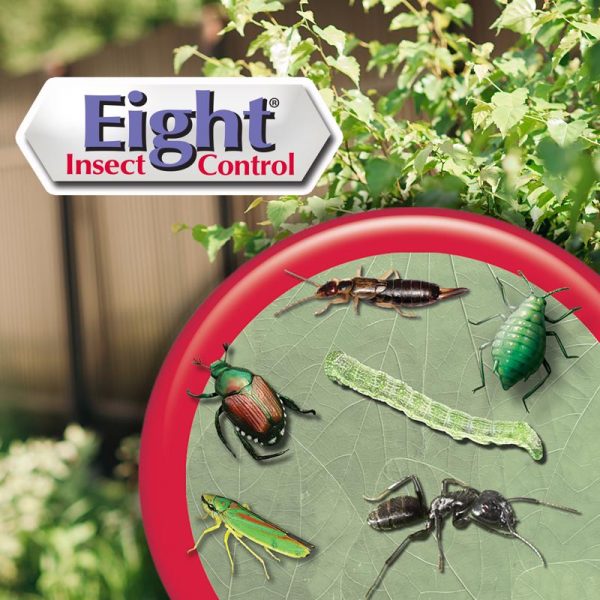 Bonide Eight Yard & Garden Insect Killer Liquid 32 oz Online Hot Sale