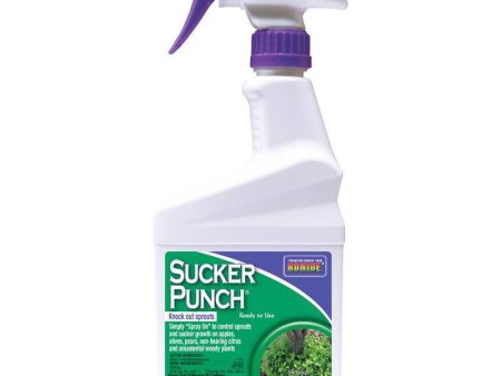 Bonide Sucker Punch Tree Roots Killer RTU Liquid 16 oz Online Hot Sale