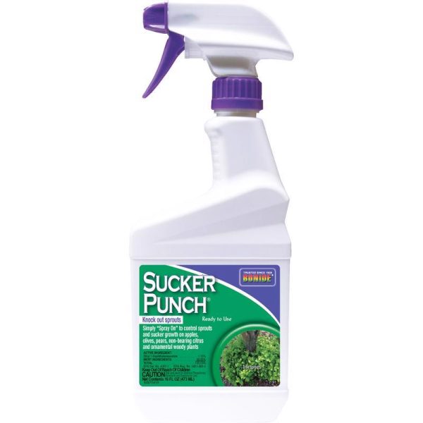 Bonide Sucker Punch Tree Roots Killer RTU Liquid 16 oz Online Hot Sale