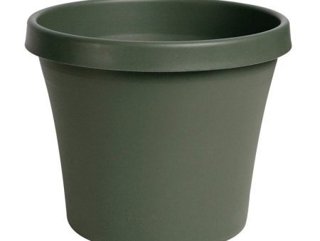 Bloem Terrapot 5.5 in. H X 6 in. D Resin Traditional Planter Thyme Green Online Hot Sale