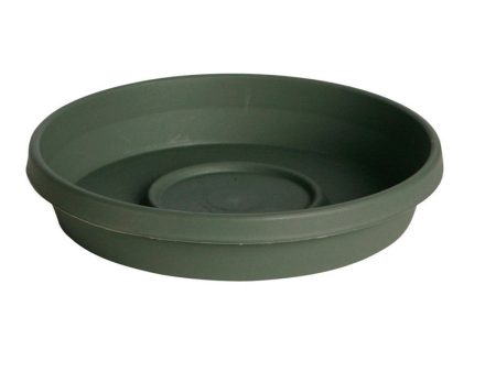 Bloem Terratray 2.7 in. H X 17 in. D Resin Traditional Tray Thyme Green Hot on Sale