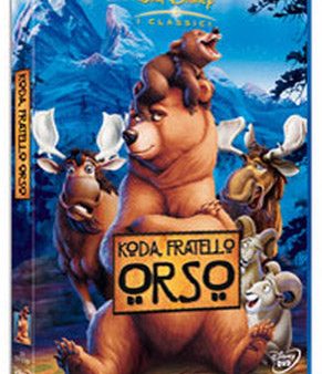 Koda Fratello Orso Sale